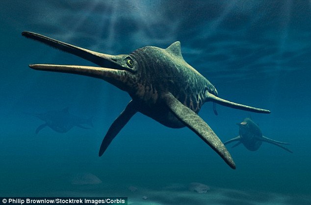 Ichthyosaurs are commonly referred to as fish lizards, but are in fact large carnivorous marine that thrived during the Mesozoic era.