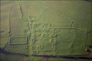 Fig. 4: This is an example of an earthwork. This particular archaeological site is an abandoned Medieval settlement.